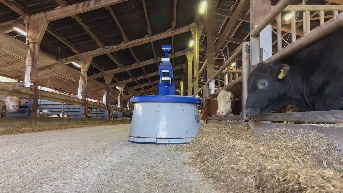 Video laden: 